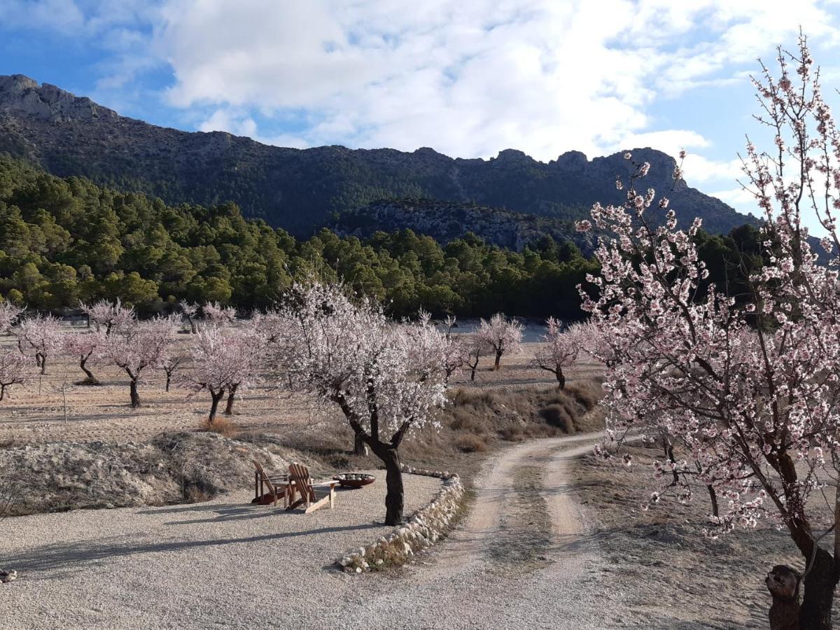 Appartamento Cortijo Blanco Vélez Blanco Esterno foto