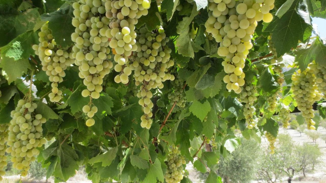 Appartamento Cortijo Blanco Vélez Blanco Esterno foto